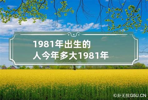 1981出生|1981年今年多大了 1981年出生现在多大了